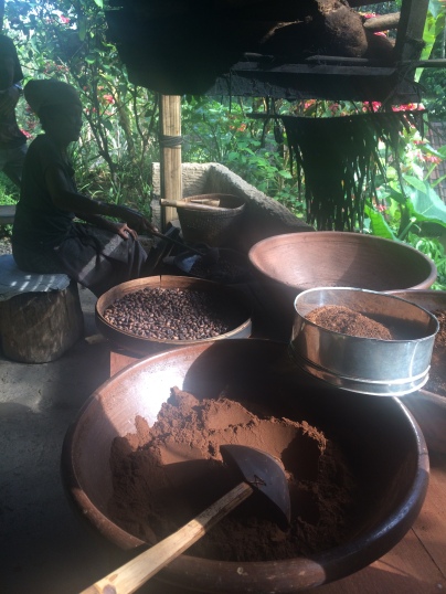 Luwak coffee making in progress